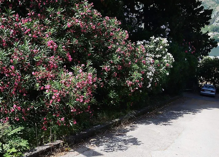 Apartment Garden