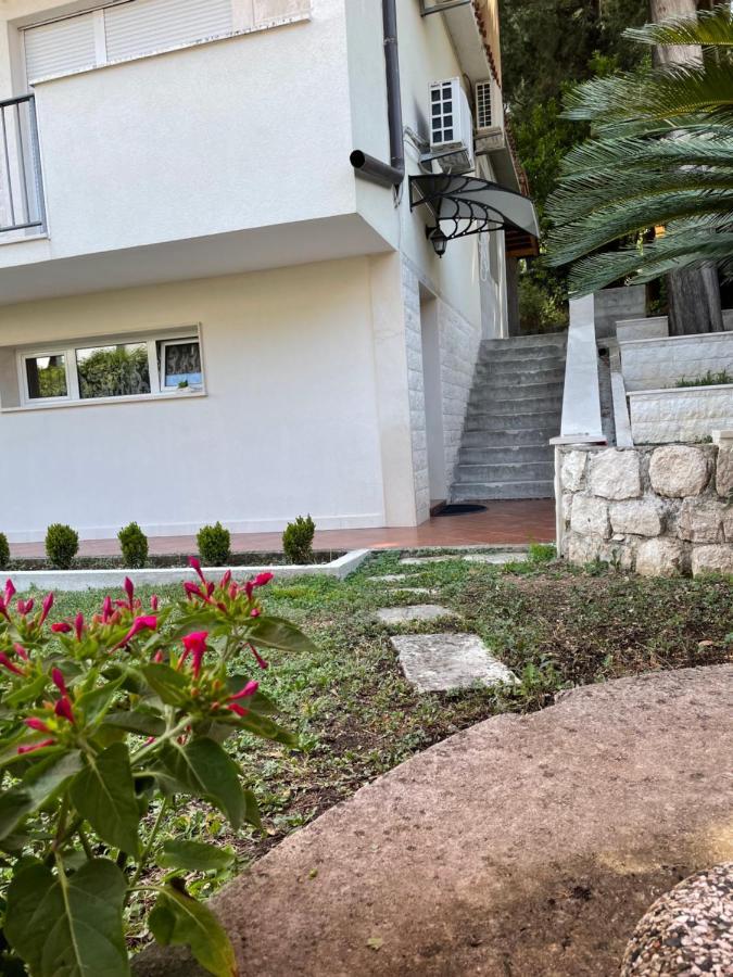 Garden Kotor